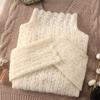 Brushed Lace High-Neck Mesh Top for Women - Trendy Autumn/Winter Layer