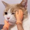 Пальчиковая кукла для дразнения кошек в стиле TikTok: Креативная, Забавная, Мини-игрушка на пять пальцев