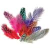 Colored Guinea Fowl Feathers - 10 Gr of Feathers
