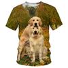 Summer Cute Animal Golden Retriever 3D Print T-Shirts Men Women Short Sleeve TShirt Oversized Harajuku Tees Tops Kids Clothing