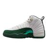 Air Jordan 12 Retro Bucks