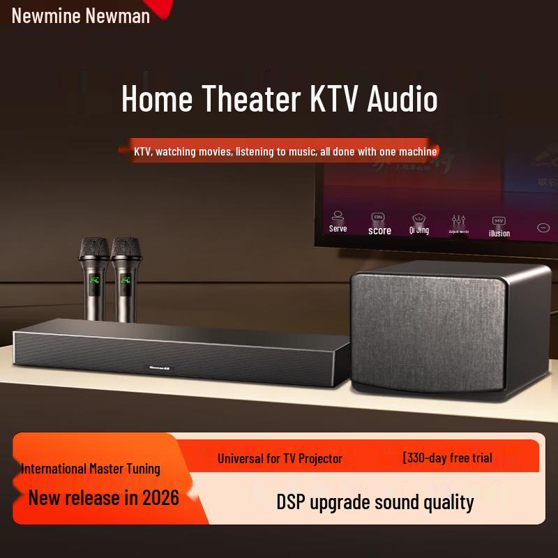 Домашняя звуковая панель Newman BT807 KTV с двумя микрофонами (Китайская версия)