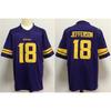 Minnesota Vikings NFL Football Jersey Mens Sportswear Team Fan Apparel Purple White Custom Number