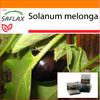 Garden in the Bag - Баклажаны - 20 семян - С субстратом в подходящем пакете - Solanum melonga