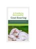 Книга A Guide To Successful Goat Rearing : Nurturing a Thriving Herd and Harvesting Success