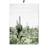 Дорожный гигантский кактус каньон реки Колорадо скандинавские постеры и принты холст картины настенные художественные картины для гостиной домашний декор