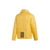 adidas Мужская желтая пуховая куртка DZ1431