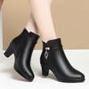 Модные женские ботинки Осень Зима Плюшевые Теплые Ботильоны Женские Остроносые На Толстом Каблуке На Молнии Повседневная Женская Обувь