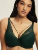 Onika Esotiq Push-Up Bra