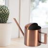 300ml Small Stainless Steel Watering Can Plant Flower Long Spout Sprinkling Pot for Home Use