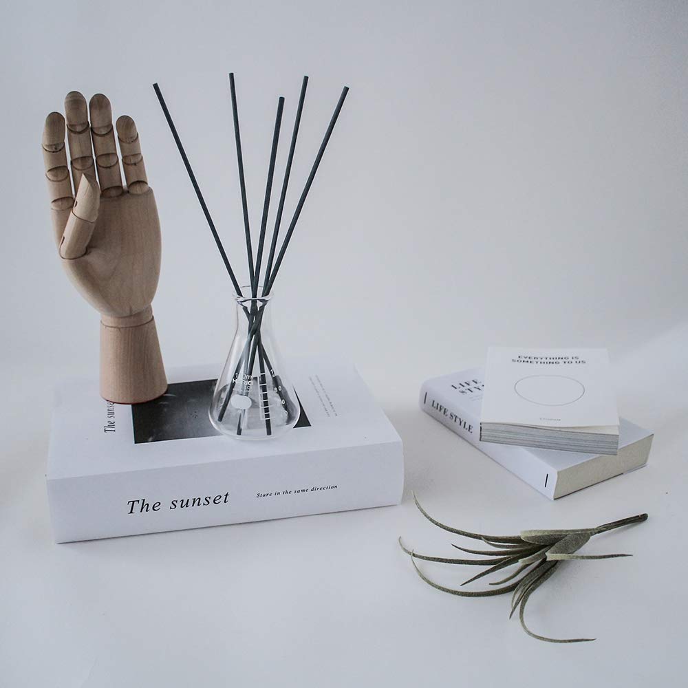 Диффузор Reed, произведенный в Японии, стильный, 200 мл, для интерьера, промышленный, стеклянный флакон HARIO, колба Эрленмейера, подарочная ваза для аромата, простая комната