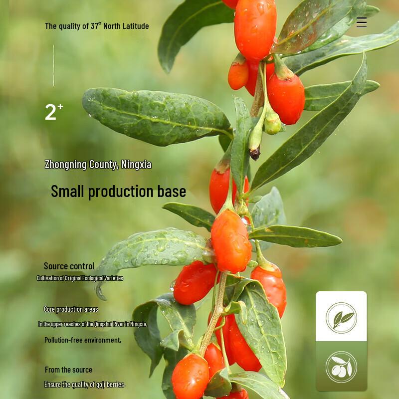 NINGANPU Ningxia Goji Berries