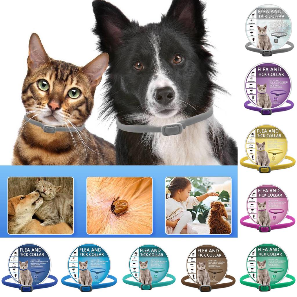 Tick Flea Pet Collar For Dogs And Cats Adjustable Size Eco Friendly Material Pvc