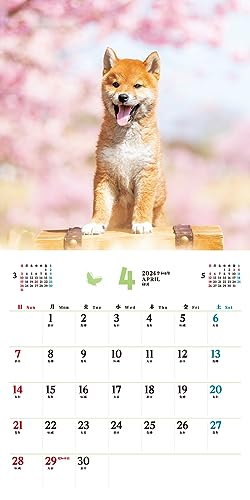 [С эксклюзивными преимуществами для покупателей] Fukufuku Shibainu (Календарь Impress 2024)