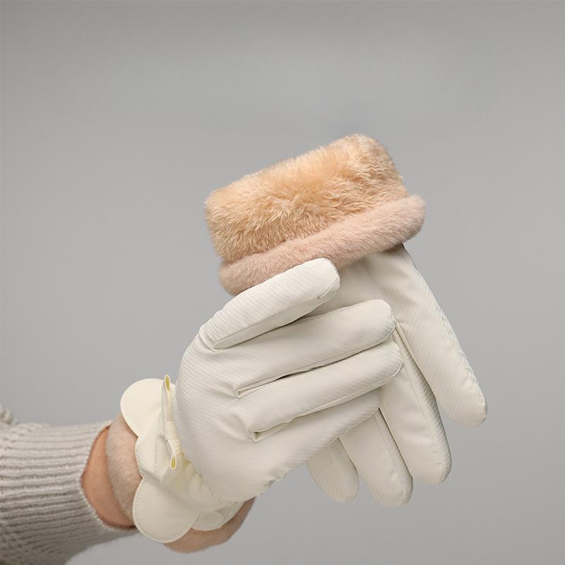Winter Plus Fleece Gloves New Style for Women Riding and Driving Windproof Cold Warm Touch Screen Cute Korean Style Student Riding Bike