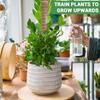 Sturdy Plant Support Stakes 30/40/50cm Moss Sticks Durable Coir Totem Poles  Potted Plants