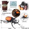 4D Stereo DIY Animal Model Kit: Eagle, Scorpion, Gecko, Rattlesnake, Spider, Lizard, Squirrel, Hedgehog