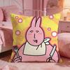 My Ffriends Rabbit Cute Cushion Cover Premium Comfort Reversible Pillow Cove Two In One Design For Any Room  Car Interior