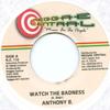 7inch Record ANTHONY B / DETERMINE - Watch The Badness / I Am Determine RC110 Reggae Central 2003 US Reggae, Ska & Dub