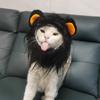 Классический костюм для косплея кошки, шляпа для питомца, грива льва для кота, щенка, льва, костюм для вечеринки, украшения на Хэллоуин, Рождество, GatosPet Supplies