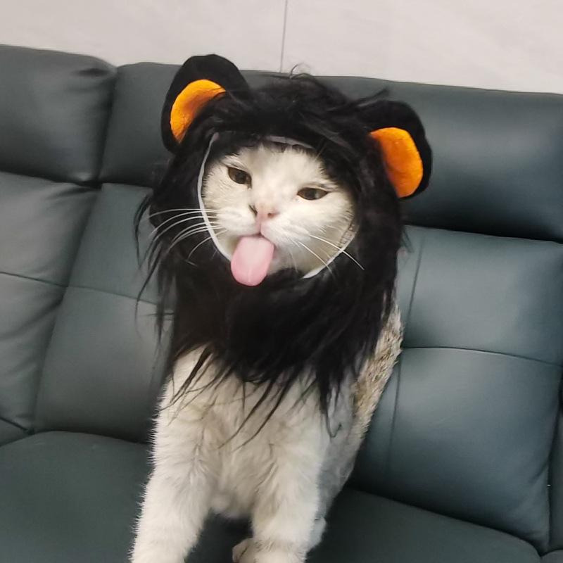 Классический костюм для косплея кошки, шляпа для питомца, грива льва для кота, щенка, льва, костюм для вечеринки, украшения на Хэллоуин, Рождество, GatosPet Supplies