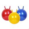 Garden Game Inflatable Ball Jumping Bouncer Kids/Adults Outdoor Toy