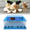 Farm Automatic 48 Eggs Digital Incubator Temperature Control Hatcher for ChickenUK Plug 220V