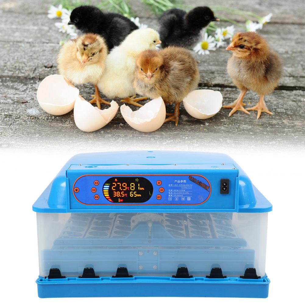 Farm Automatic 48 Eggs Digital Incubator Temperature Control Hatcher for ChickenUK Plug 220V