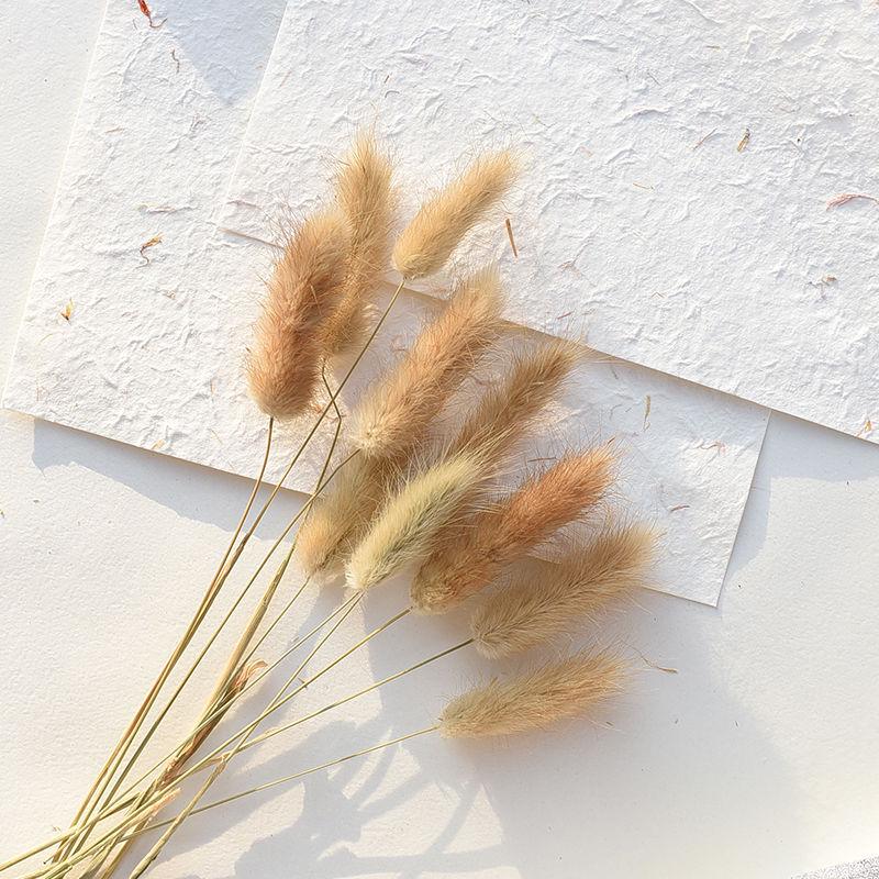 Wheat and Bunny Tail Grass Floral Photography Props