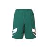 Adidas Originals Trefoil Tricolor Короткие быстросохнущие тренировочные шорты с логотипом, мужские штаны, зеленые H09358