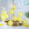 Yousheng Decorative Fairy Lights Soft Glow Non-Glaring Multifunctional Battery Operated Orange Slices String Lights LED Hanging Lamps