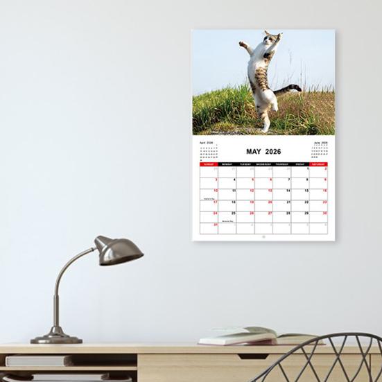 Календарь 2026 Январь 2026 - Декабрь 2026 12-месячный планер Настенный календарь «Кот Кунг-фу» для декора дома, офиса, общежития