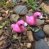 2Pcs Mini Garden Male/Female Flamingo Animal Micro Landscape DIY Decor Ornaments Gardening Supplies