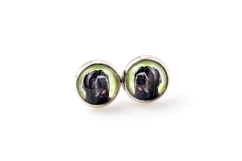 Neapolitan Mastiff, Mastino Napoletano – Earrings your photo handmade, own photo | Art-Dog