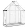 Greenhouse with Foundation Frame Silver 169 x 58 x 202 cm Aluminum