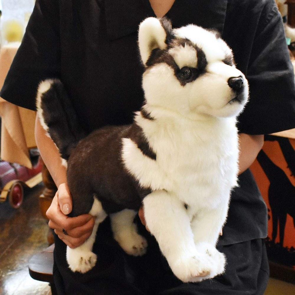 Hansa Siberian Husky Puppy BH7512 43