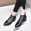 Pointed Women's Shoes 2025 Spring New European and American Style Black First-layer Cowhide Mesh Single Shoes Rear Zipper Women's Fashion Shoes