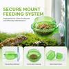 2pcs Round Suction Cup Feeder Green Chameleon Feeder Dish Durable Lizard Feeder Bowl  Gecko