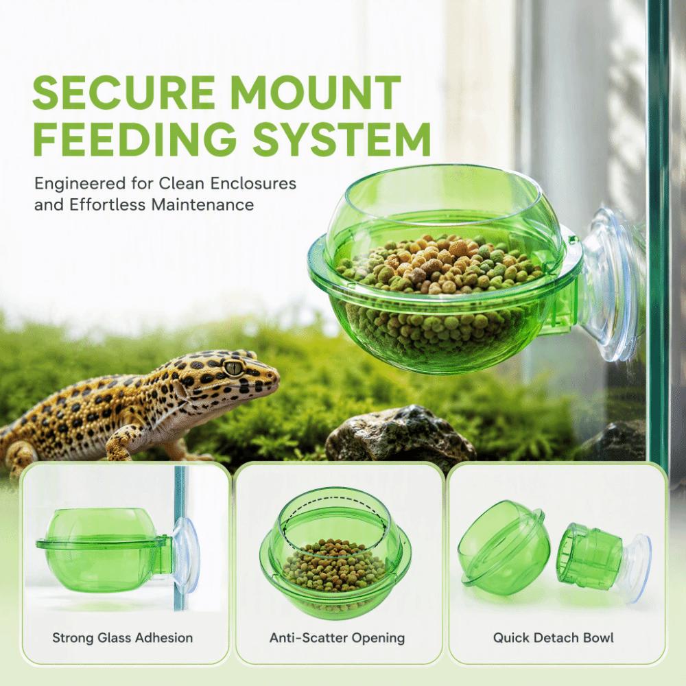 2pcs Round Suction Cup Feeder Green Chameleon Feeder Dish Durable Lizard Feeder Bowl Gecko