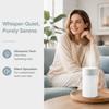 4pcs 260ML Capacity Mini Humidifier 7‑Color Night Light Desktop Humidifier Portable Humidifier  Car