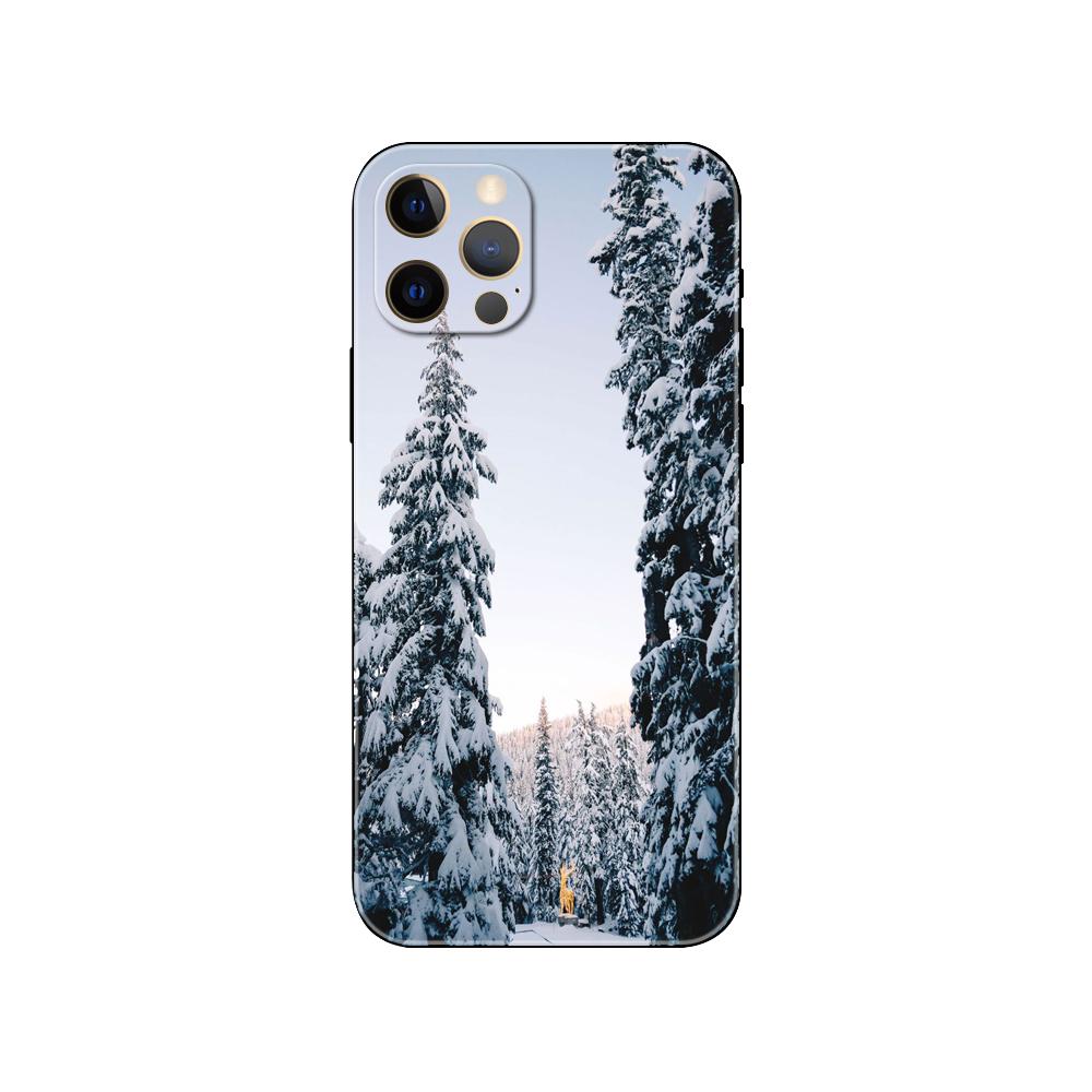 Чехол для телефона Landscape Winter Light Snow для iPhone 2020se 6 6s 7 8 plus x 10 XR XS 11 12 13 mini pro MAX черная задняя крышка из ТПУ