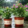 Deep Nursery Pot for Healthy Root Growth Plastic Flower Large Plants with Drainage Holes & Saucer Tray, Weather Resistant Planter Fruit Trees