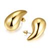 1 Pair Women Stud Earrings Water Drop Shape Polished Solid Color Anti-allergy Lightweight Smooth Lady Ear Studs Daily Commute Ear Jewelry