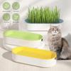 Hydroponic Seedling Tray Creative Cat Snack Catnip Growing Pot Reusable Garden Catnip Growing Bowl Pet Supplies