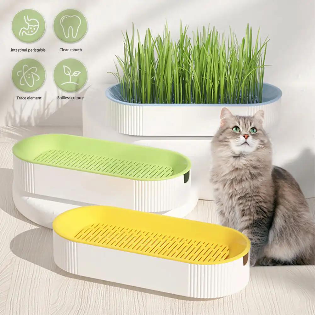 Hydroponic Seedling Tray Creative Cat Snack Catnip Growing Pot Reusable Garden Catnip Growing Bowl Pet Supplies
