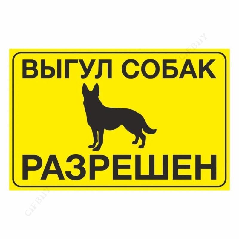 Металлическая табличка «Выгул собак запрещен», табличка для мастерской 20x30 см