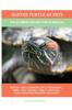 Книга Reeves Turtle As Pets : The Ultimate Reeves Turtle Manual