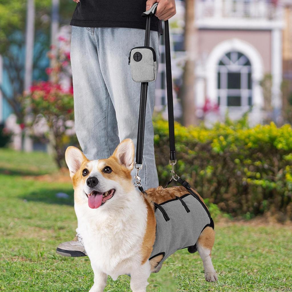 Поддерживающий ремень для собаки для помощи при ходьбе