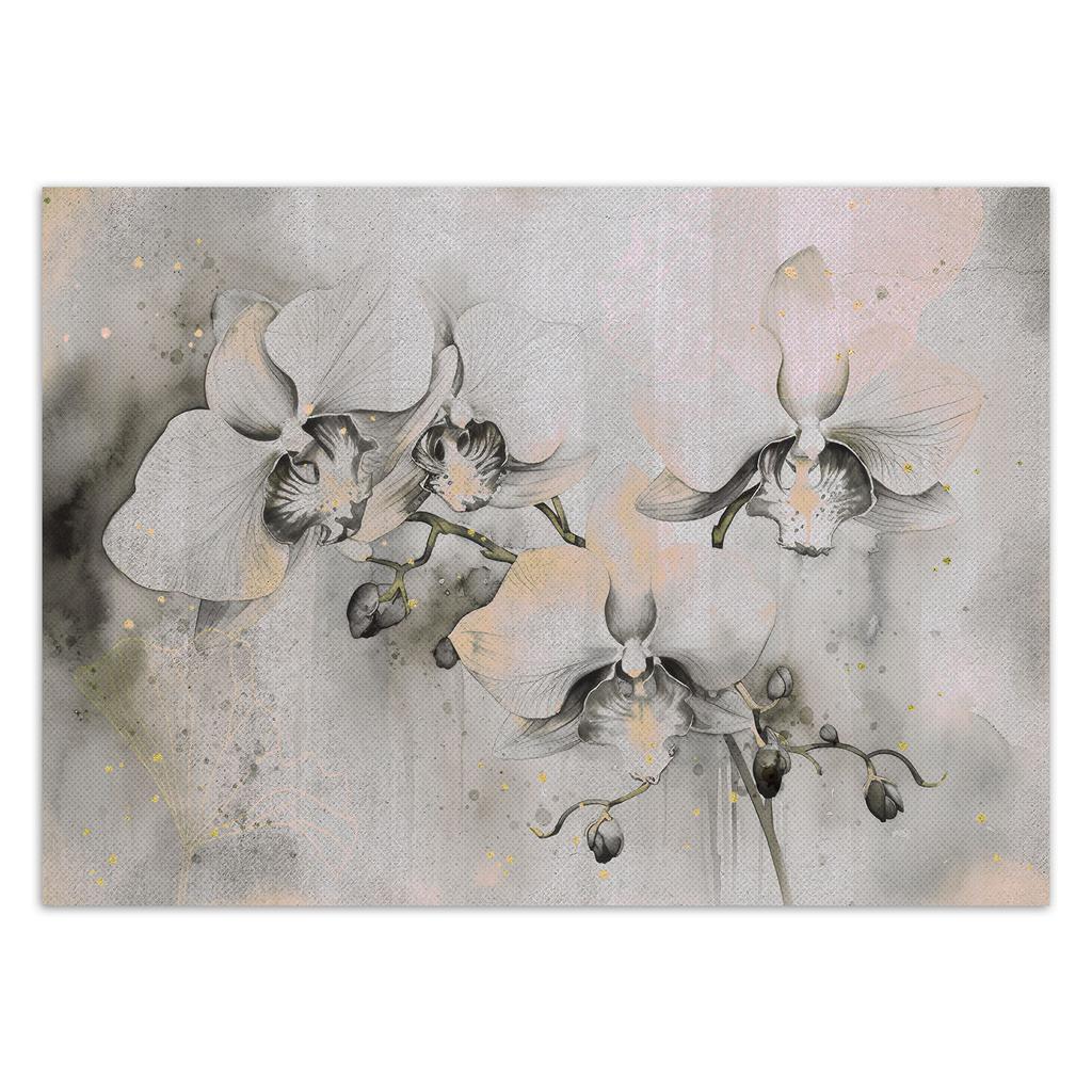 Обои Цветущие орхидеи абстракция