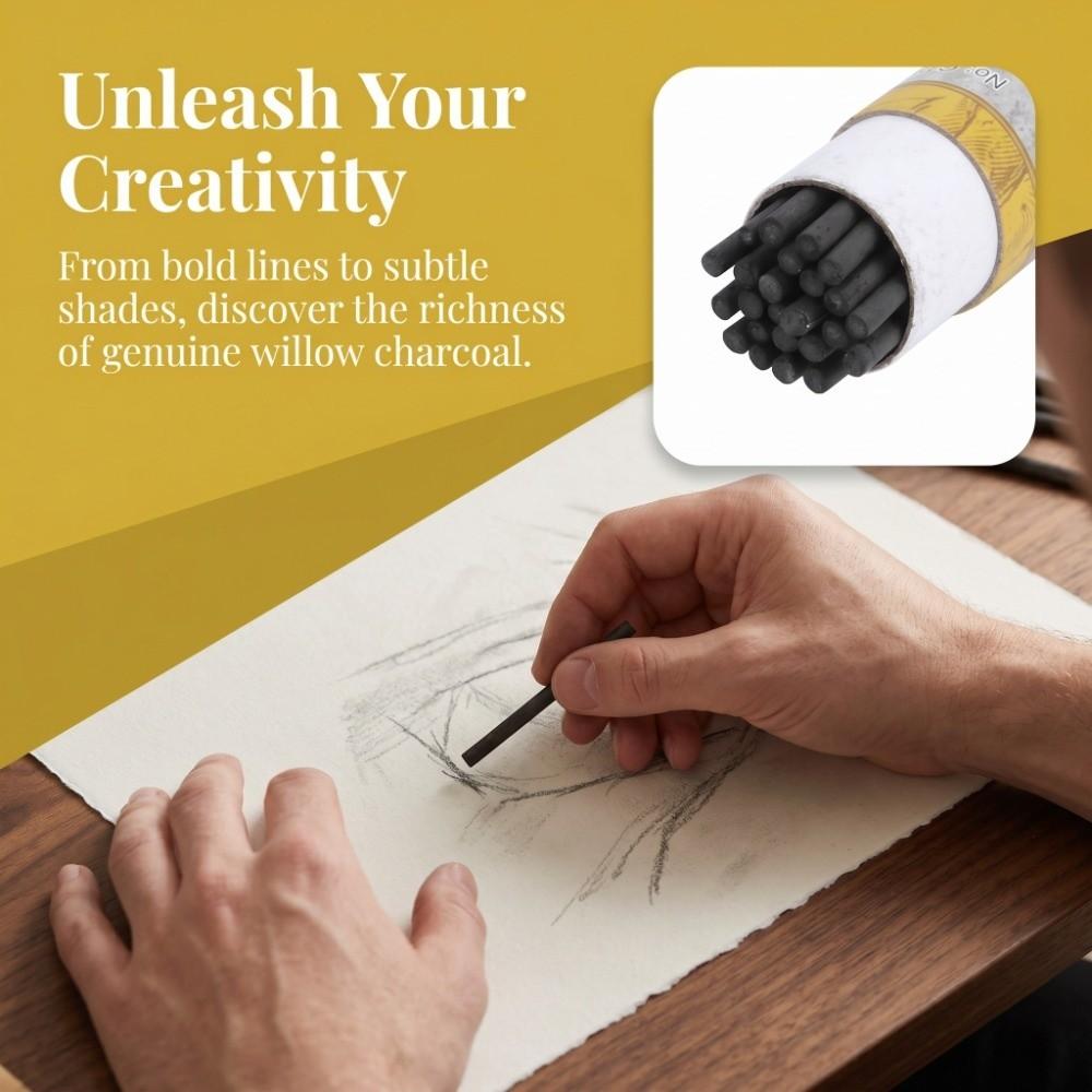 25PCS Four Types Charcoal Sticks Black Artist Charcoal Strips Quick Sketch Outlining